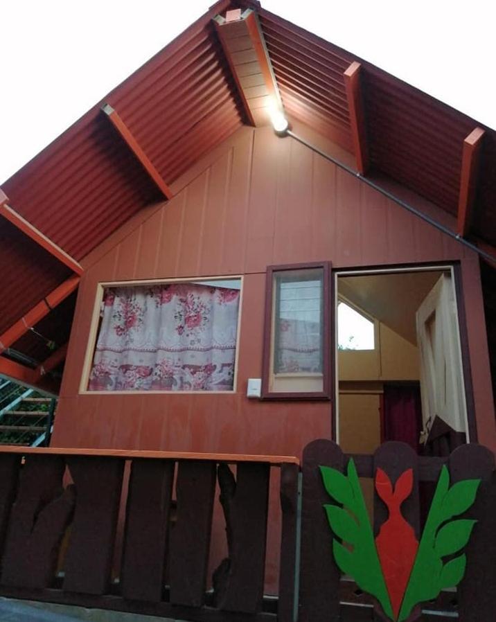Pension Y Cabinas Colibri B&B Costa Rica Monteverde Esterno foto