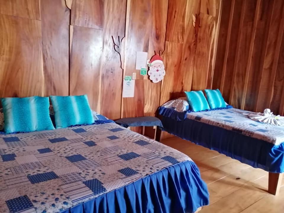 Pension Y Cabinas Colibri B&B Costa Rica Monteverde Esterno foto